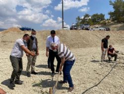 Mut Kaymakamlık önderliğinde Zeytin Gen Bahçesi oluşturuldu